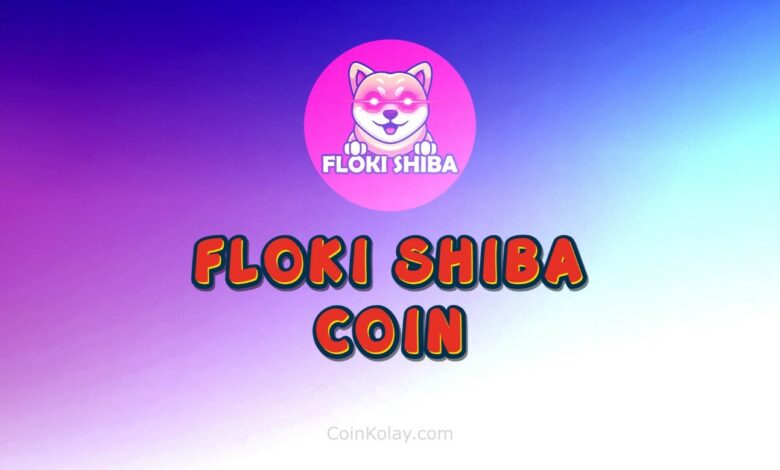 Floki Shiba Coin (Fshib) Nedir Fshib Geleceği