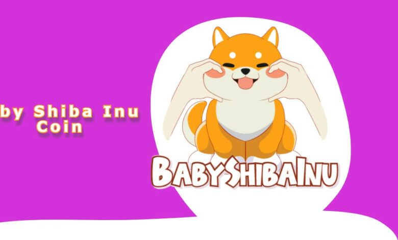 Baby Shiba Coin Nedir Baby Shiba Geleceği 2021