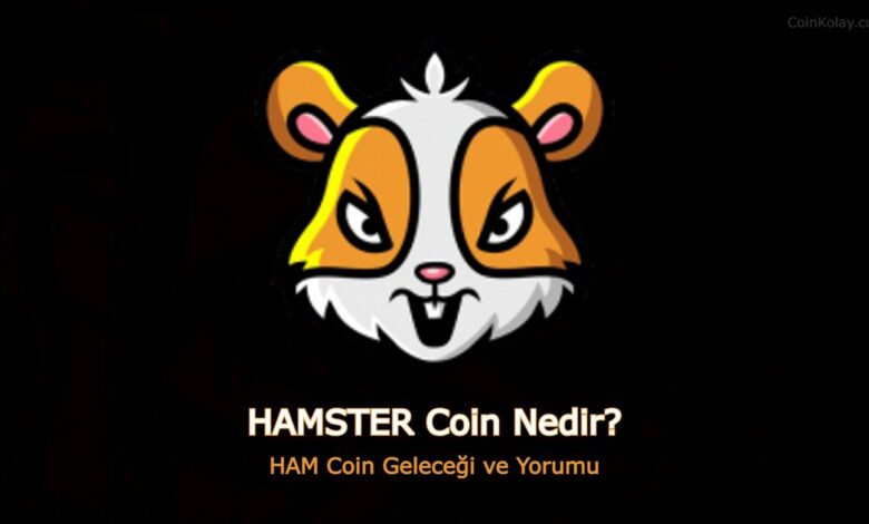 Hamster Coin Nasıl Alınır Hamstercoin Geleceği Ve Yorumu