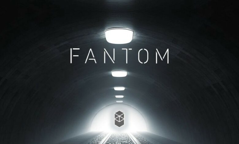 Fantom (Ftm) Coin Yorum