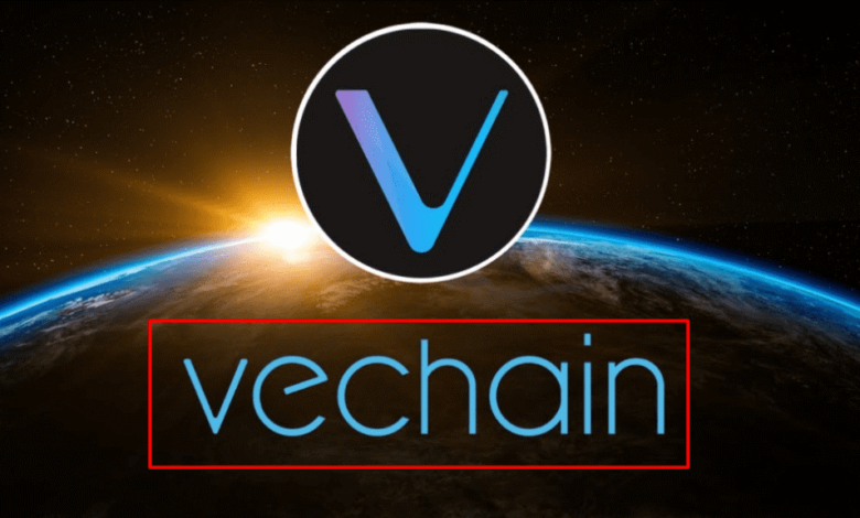 VeChain Coin Yorum